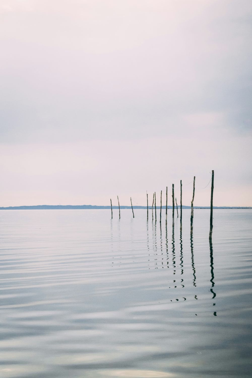 To the lake